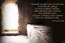 cz-beznadej-temneho-hrobu