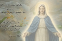 cz-maria-ty-jsi-nase-matka