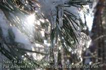 cz-nauc-se-za-vsechno-dekovat