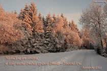 cz-nestaci-se-jen-obratit