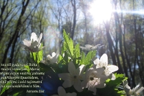 cz-s-toutez-vydanosti-bohu_1