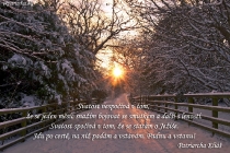 cz-svatost-nespociva-v-tom