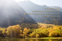cz-uc-se-vse-davat-bohu cz-uc-se-vse-davat-bohu