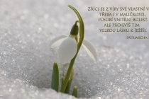 cz-zrici-se-z-viry-sve-vlastni