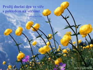 cz.Spend this day in faith