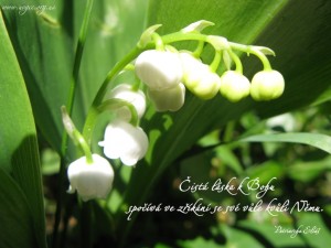 cz.Pure love of God