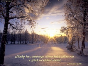 cz.Seek God_s will every day with a sincere heart...