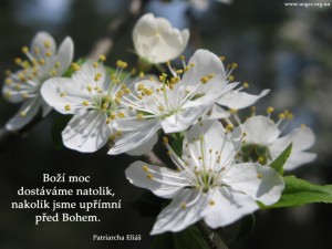 cz.The power of God is given to us to the extent that we are honest before Him
