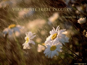 cz.Faith grows through trials