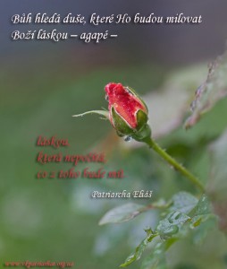 cz.God is seeking for souls who will love Him...