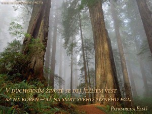 cz.Let Jesus lead you...
