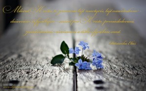 cz.To love Christ means to be a martyr...