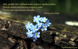 cz. In order to build a healthy community...