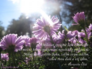 cz. It is not possible to love yourself...