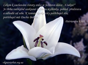 cz-What remedy to use to keep your heart pure...