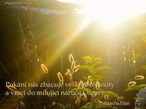 cz.Repentance delivers us from all darkness...