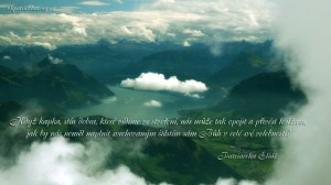 cz.If the slightest glimmer of good ....