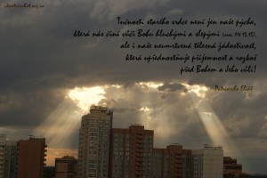 cz.The fat in our old heart...