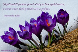 Nejucinnejsi formou prave...