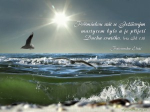 Podminkou stat se...