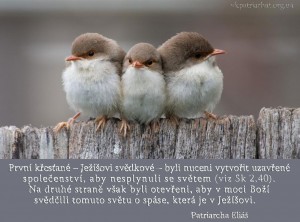 cz.Prvni krest_ane_Jezisovi svedkove...
