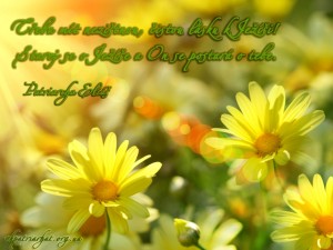 cz. We need selfless love...