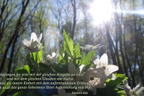 1_de-Empfangen-Sie-jetzt-mit-der-gleichen-Hingabe-an-Gott