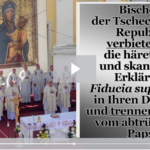 BKP: Bischöfe der Tschechischen Republik, verbieten Sie die häretische und skandalöse Erklärung Fiducia supplicans in Ihren Diözesen und trennen Sie sich vom abtrünnigen Papst