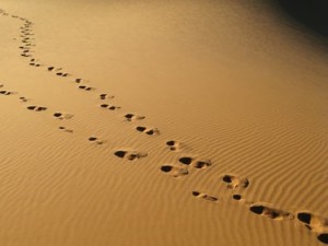 Christ helps us carry our daily cross