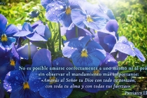 es-no-es-posible-amar-a-ti-mismo-y-a-tu-projimo