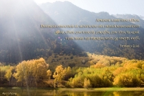 sp-aprende-a-dar-todo-a-dios_0