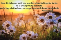 sp-cada-dia-debemos-pedir