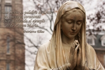 sp-debemos-llevar-la-palabra-de-dios_0