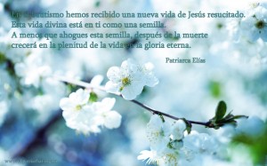 es.In baptism we received a new life of the risen Jesus...