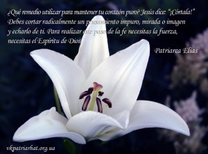 es-What remedy to use to keep your heart pure...
