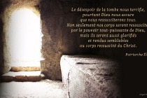 fr-le-desespoir-de-la-tombe-nous-terrifie