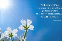 fr-par-le-saint-bapteme