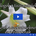Boldogok a tisztaszívűek (Mt 5,8). Levél a szerzeteseknek és a papoknak