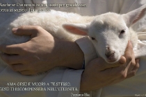 it-anche-se-dio-non-ti-ha-mai-usato-per-grandi-cose_2