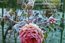 pl-nawet-jesli-mielibysmy pl-nawet-jesli-mielibysmy