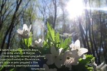 pl-z-takim-samym-oddaniem-bogu_1