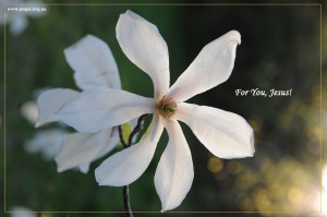 For You, Jesus!