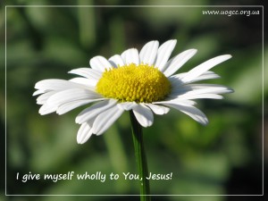 I give myself wholly to You, Jesus.