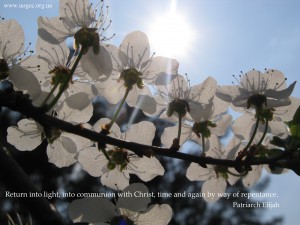 Return into light, into communion with Christ, time and again by way of repentance.