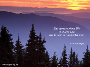 The purpose of our life