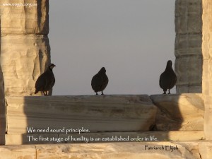 We need sound principles