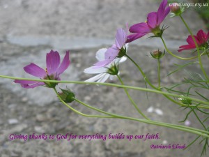 Giving thanks to God for everything builds up our faith.