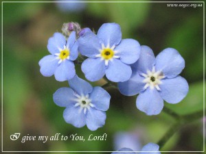 I give my all to You, Lord!