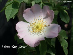 I love You, Jesus!
