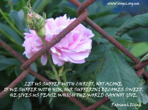 Let us suffer with Christ